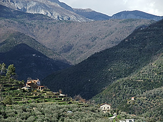 Val Nervia